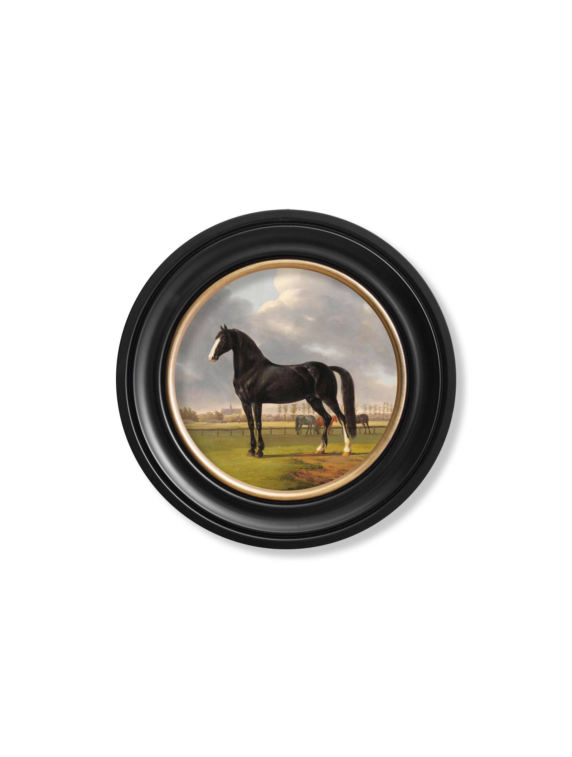 Buy archival quality c.1840 Horses Round Framed Print 70x70cm UK
