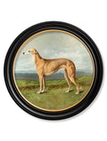 Buy archival quality working dogs round framed wall art UK
