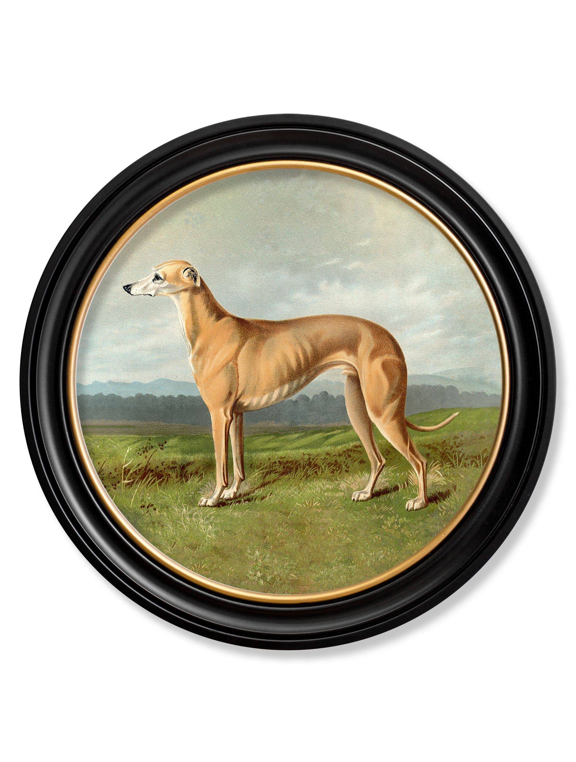 Buy archival quality working dogs round framed wall art UK

