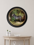 Buy c.1763 George Stubbs Zebra round framed print UK
