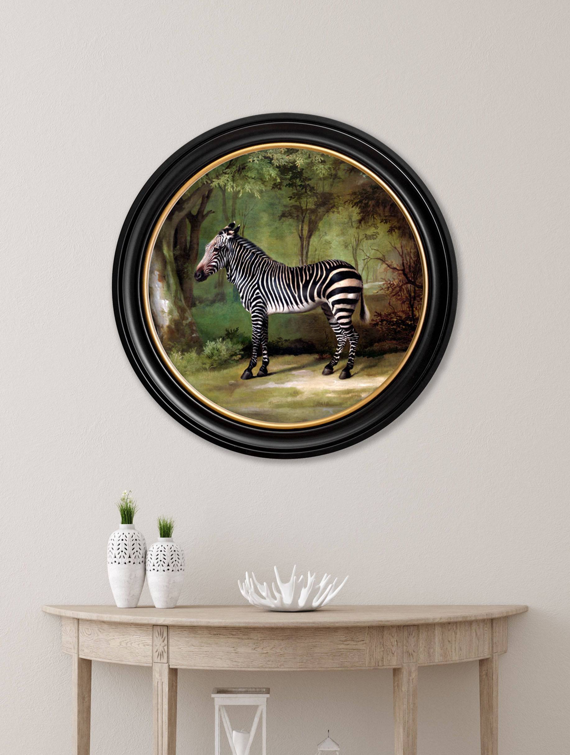 Buy c.1763 George Stubbs Zebra round framed print UK
