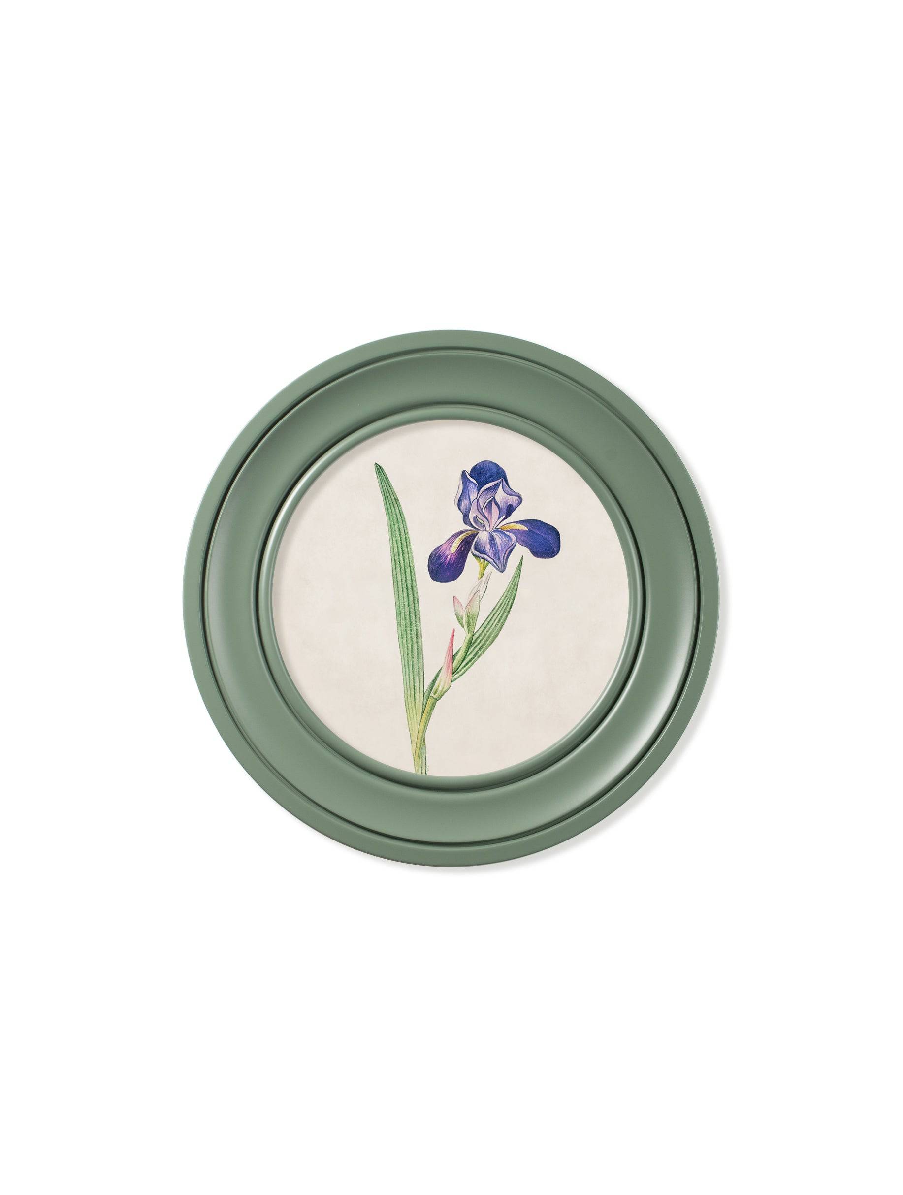 Buy c.1780 Flowering Plants Round Frame Green print UK