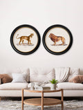 Buy c.1800s Lion and Lioness round framed prints UK Blythe Living
