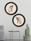 Buy c.1809 Birds of Paradise Illustration in Sustainable Wood Round Frame