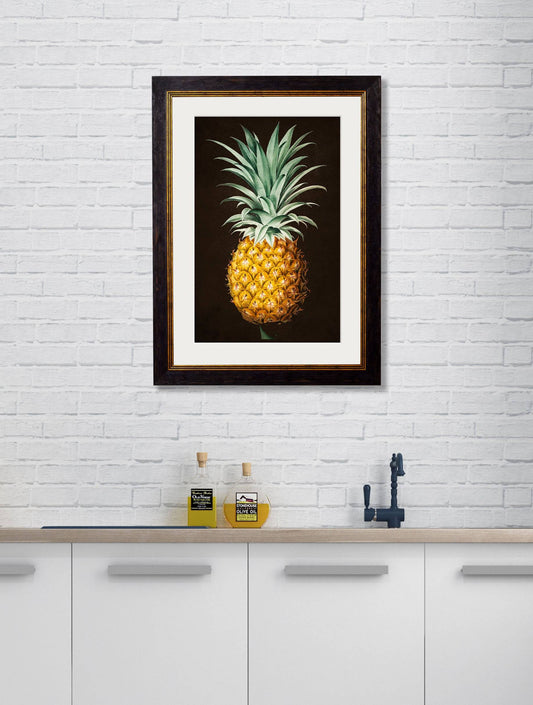Buy c.1812 Pineapple Illustration on Black Background in Oxford Slim Frame