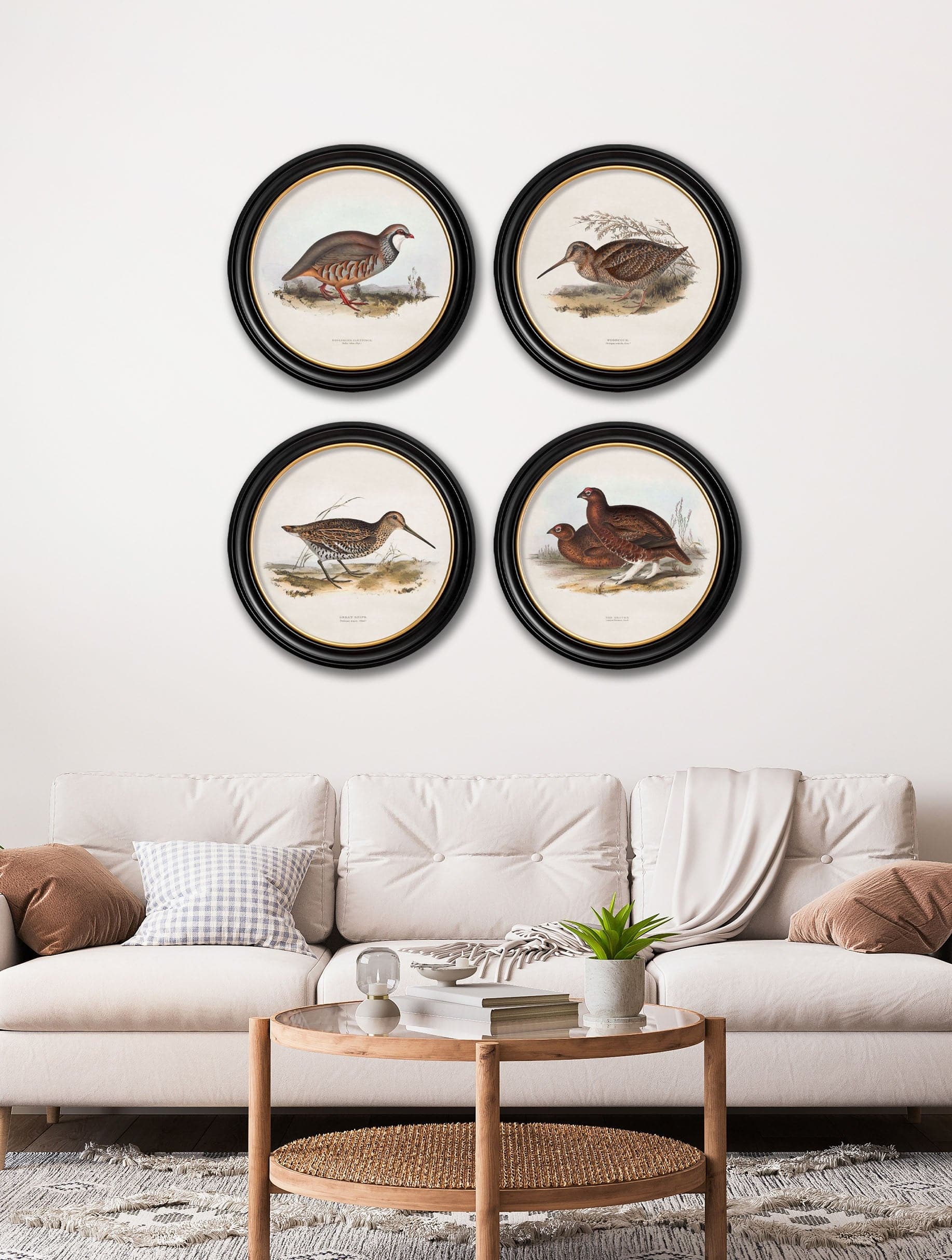 Buy c.1837's British Game Birds Round Frame print UK free delivery
