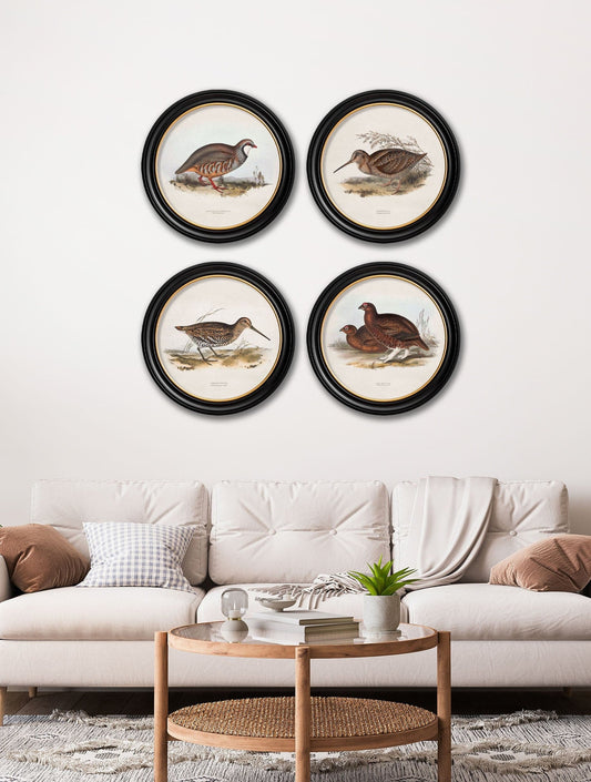 Buy c.1837's British Game Birds Round Frame print UK free delivery

