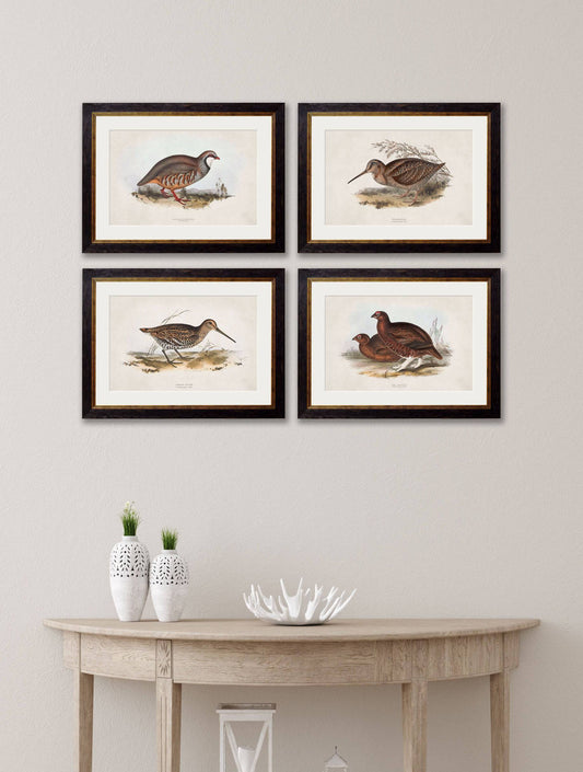 Buy c.1837's British Game Birds framed print UK free delivery
