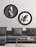 Buy c.1838 Audubon Snowy Owl Illustration in Sustainable Oxford Round Frame