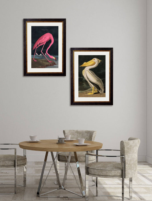 Buy c.1838 Audubon's Flamingo British Made Natural History Print in Sustainable Wood