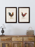 Buy c.1838 Junglefowl Ornithology Wall Art in Sustainable Wood Frame