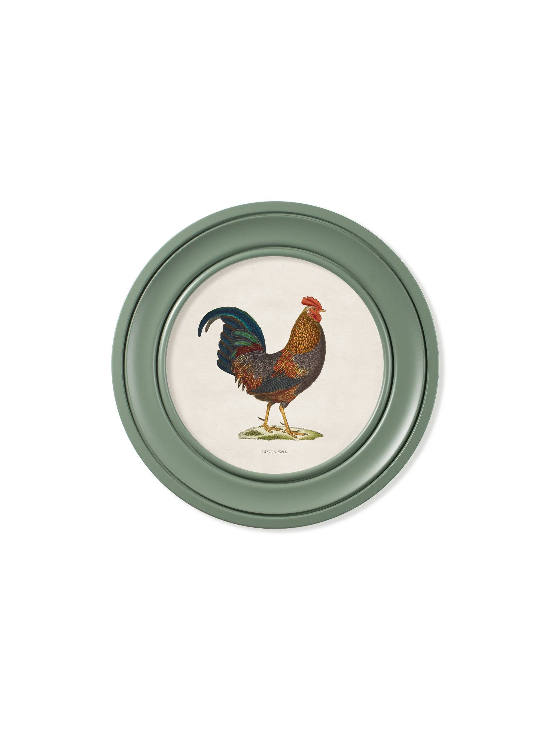 Buy c.1838 Junglefowl in Round Frames Green framed wall art UK
