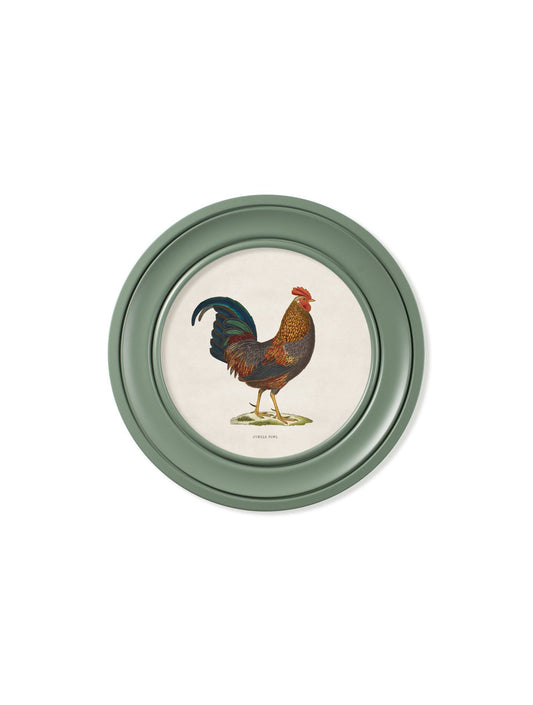 Buy c.1838 Junglefowl in Round Frames Green framed wall art UK
