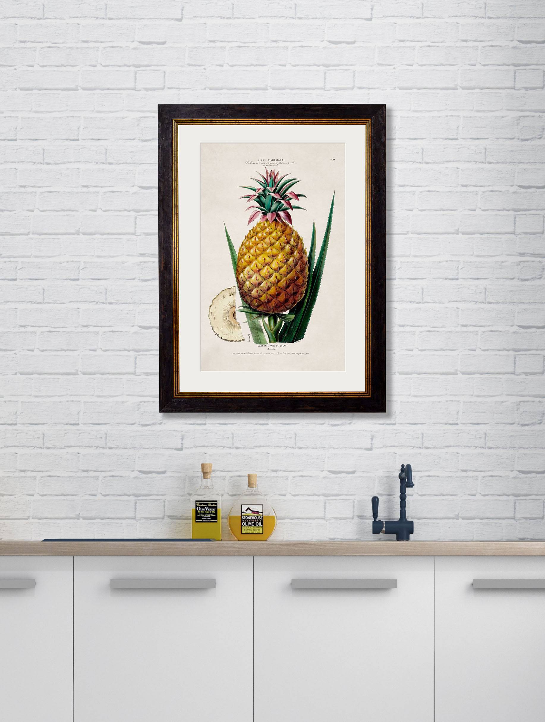 Buy c.1843 Pineapple Plant Illustration in Sustainable Wood Oxford Frame