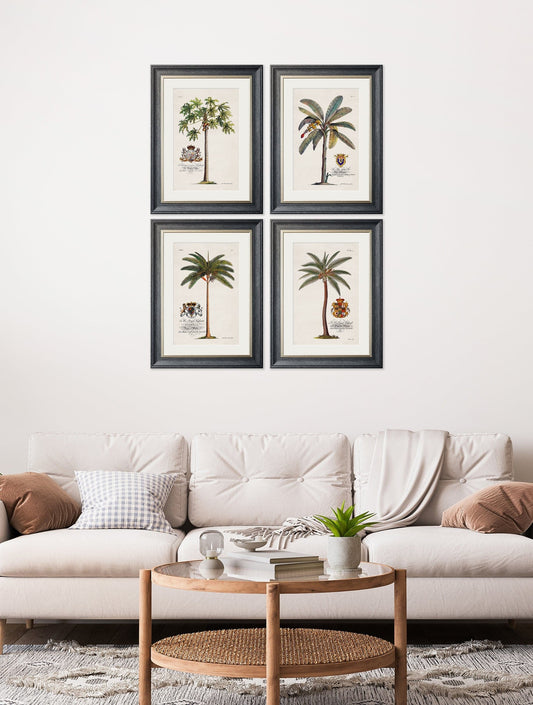 Buy c.1843 South American Palm Tree Art Prints Hand-Assembled in Britain