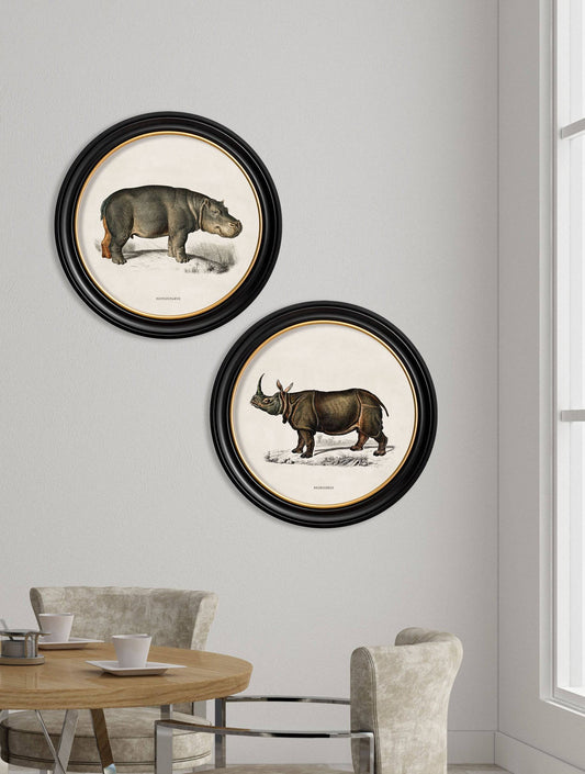 Buy c.1846 Rhino and Hippo Oxford round framed print UK