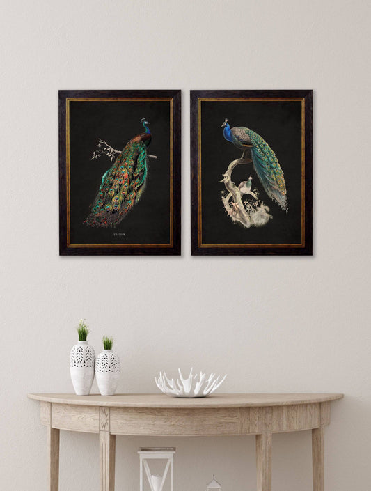 Buy c.1847 Peacocks Dark framed print for UK walls
