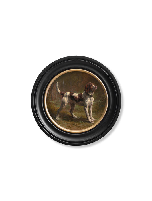 Buy c.1856 Beagle and Bloodhound round frame dog art UK