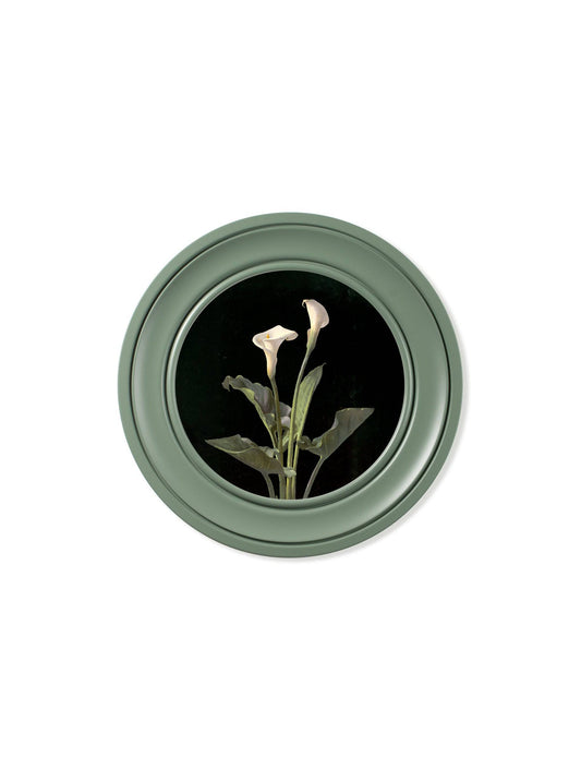 Buy c.1874 George Cochran Lambdin Lillys Round Frame Green UK
