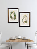 Buy c.1875 Cockatoos vintage bird art prints UK
