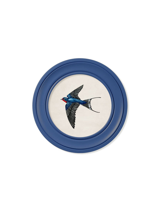 Buy c.1875 Swallows in Round Frames Blue bird print UK
