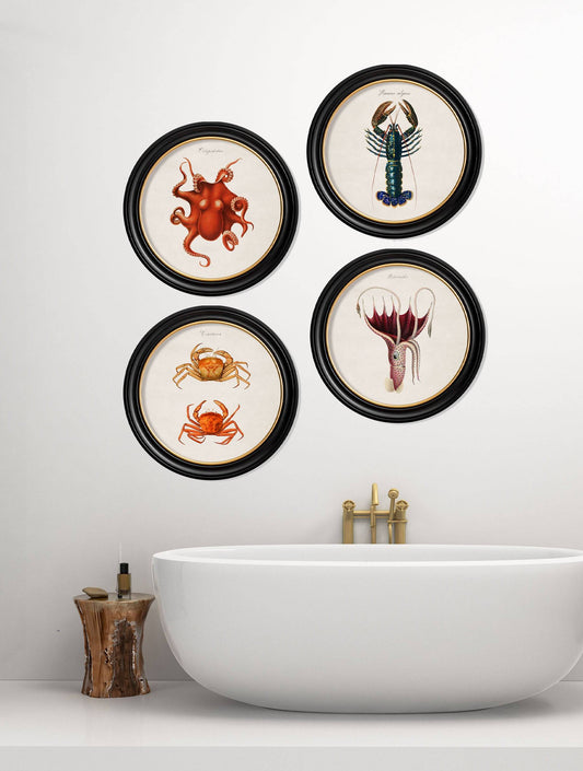 Buy c.1876 Octopus Illustration in Sustainable Oxford Round Frame