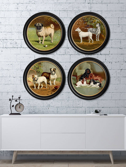 Buy c.1881 Dogs Round Frame framed wall art UK
