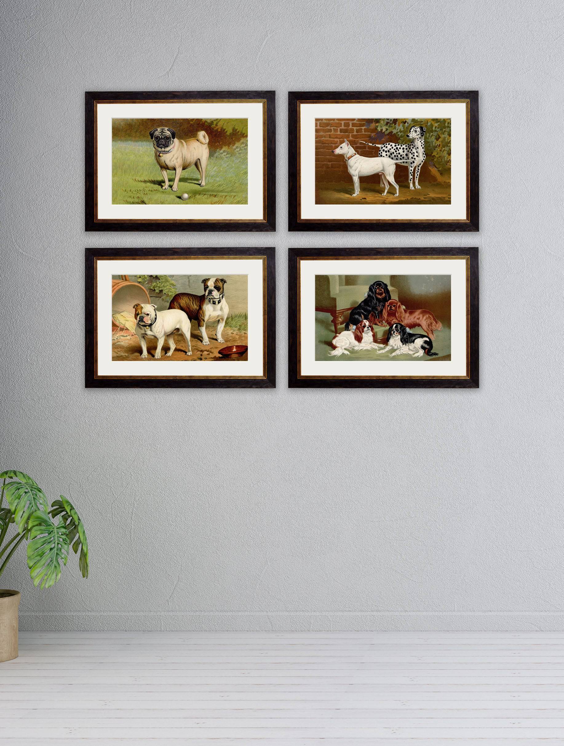 Buy c.1881 Dogs framed print wall art UK
