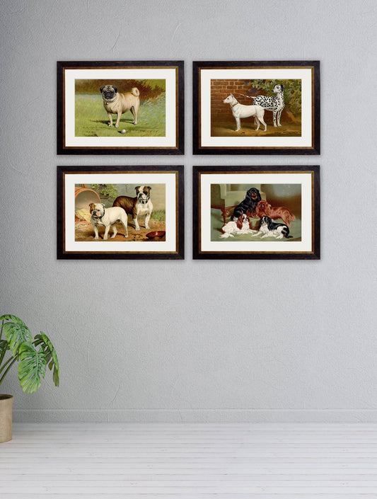 Buy c.1881 Dogs framed print wall art UK
