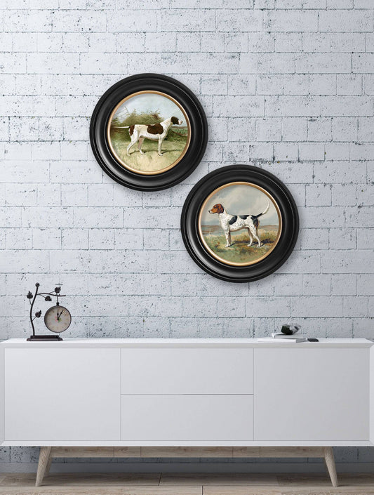 Buy c.1881 Gun Dogs Oxford round framed print UK