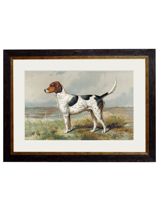 Buy c.1881 Gun Dogs framed print wall art UK
