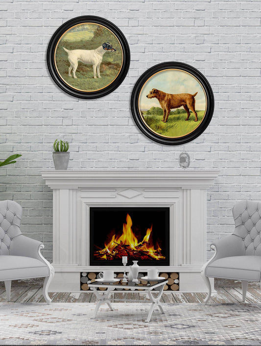 Buy c.1881 Terriers Oxford round framed print UK