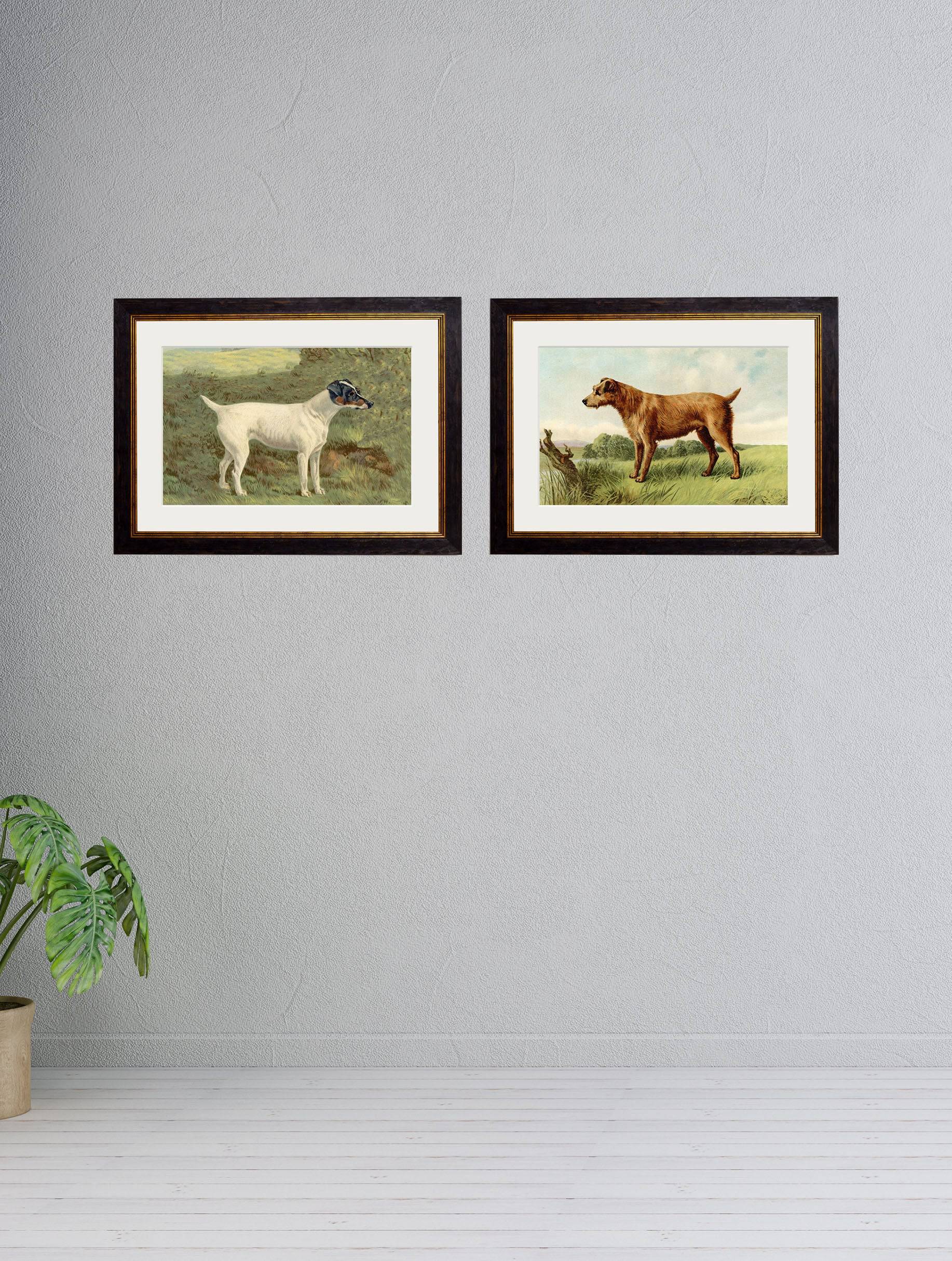 Buy c.1881 Terriers framed print wall art UK
