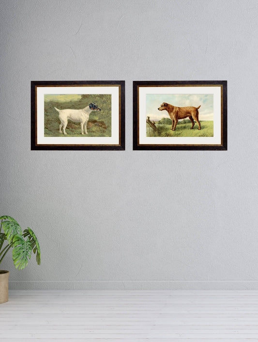 Buy c.1881 Terriers framed print wall art UK
