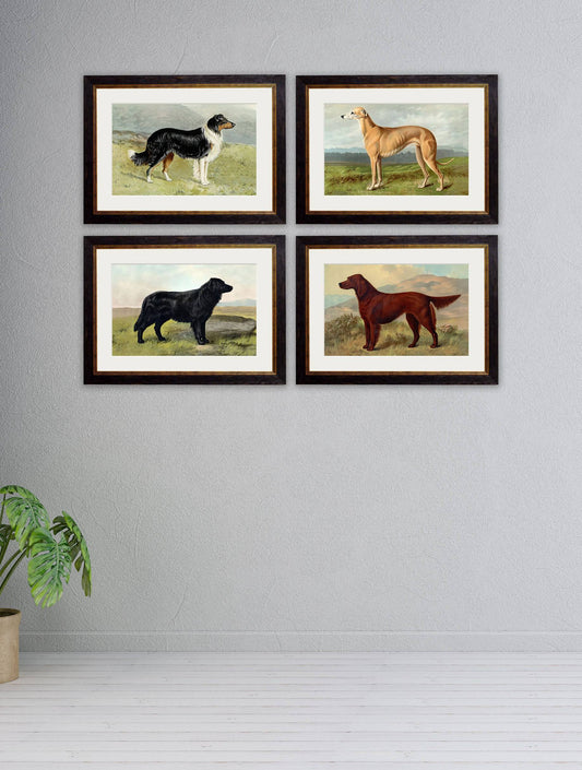 Buy c.1881 Working Dogs framed print wall art UK
