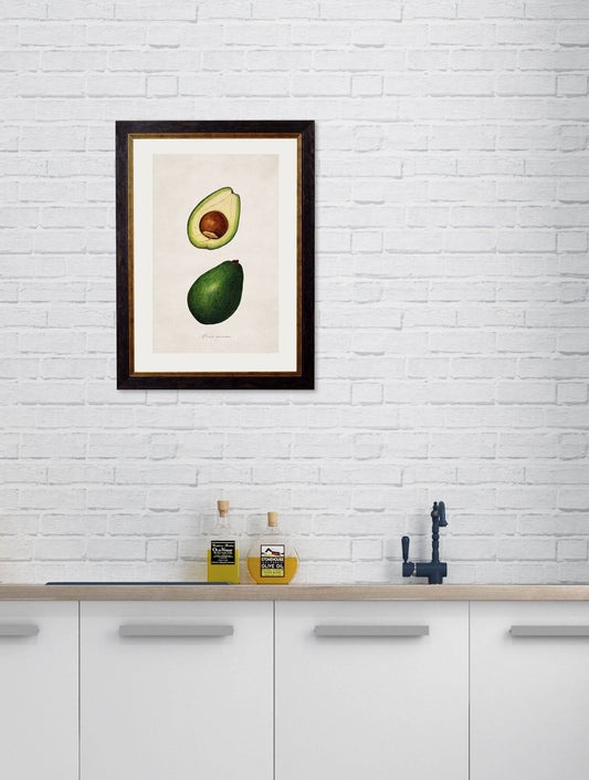Buy c.1886 Avocado Watercolor Illustration in Sustainable Wood Oxford Frame