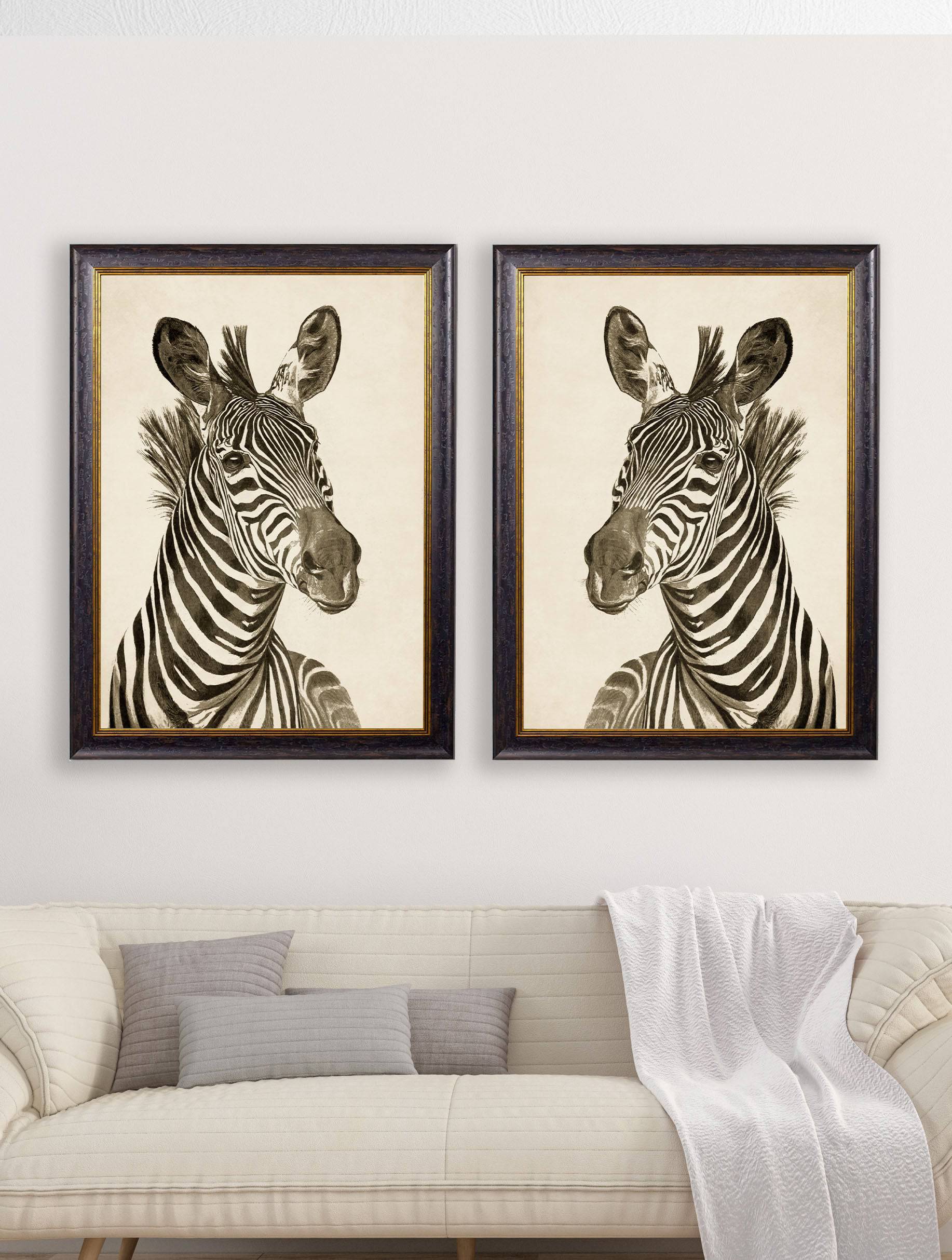 Buy c.1890 Zebra Illustrations Dark unframed giclée fine art print UK