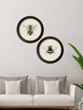 Buy c.1892 British Bees round framed art prints UK