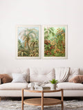 Buy c.1904 Study of Ferns art prints UK