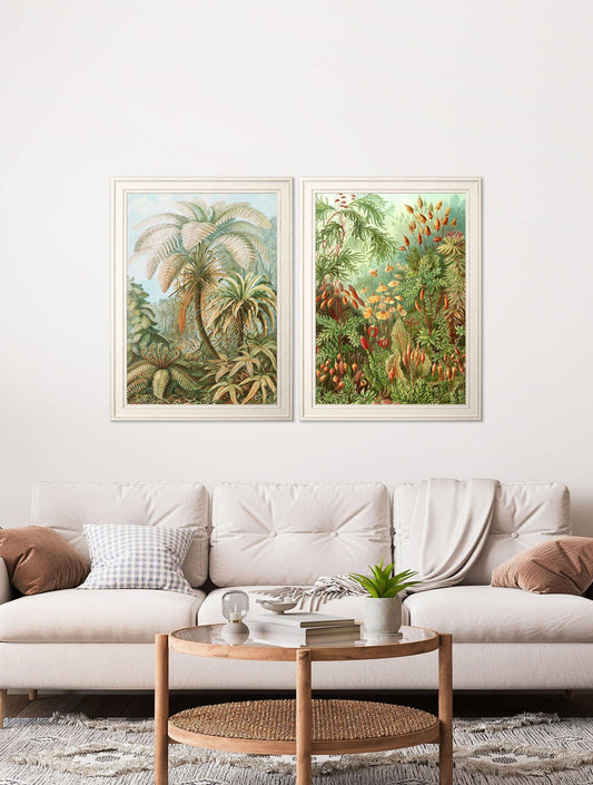 Buy c.1904 Study of Ferns art prints UK