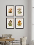 Buy c.1913 Golden Chanterelle Illustration in Sustainable Oxford Slim Wood Frame