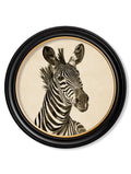 Buy dark background zebra antique illustration round frame UK
