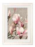 Buy digitally remastered botanical Magnolia Tulip Poppies framed art UK
