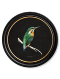 Buy online UK made round bird portraits Lancashire