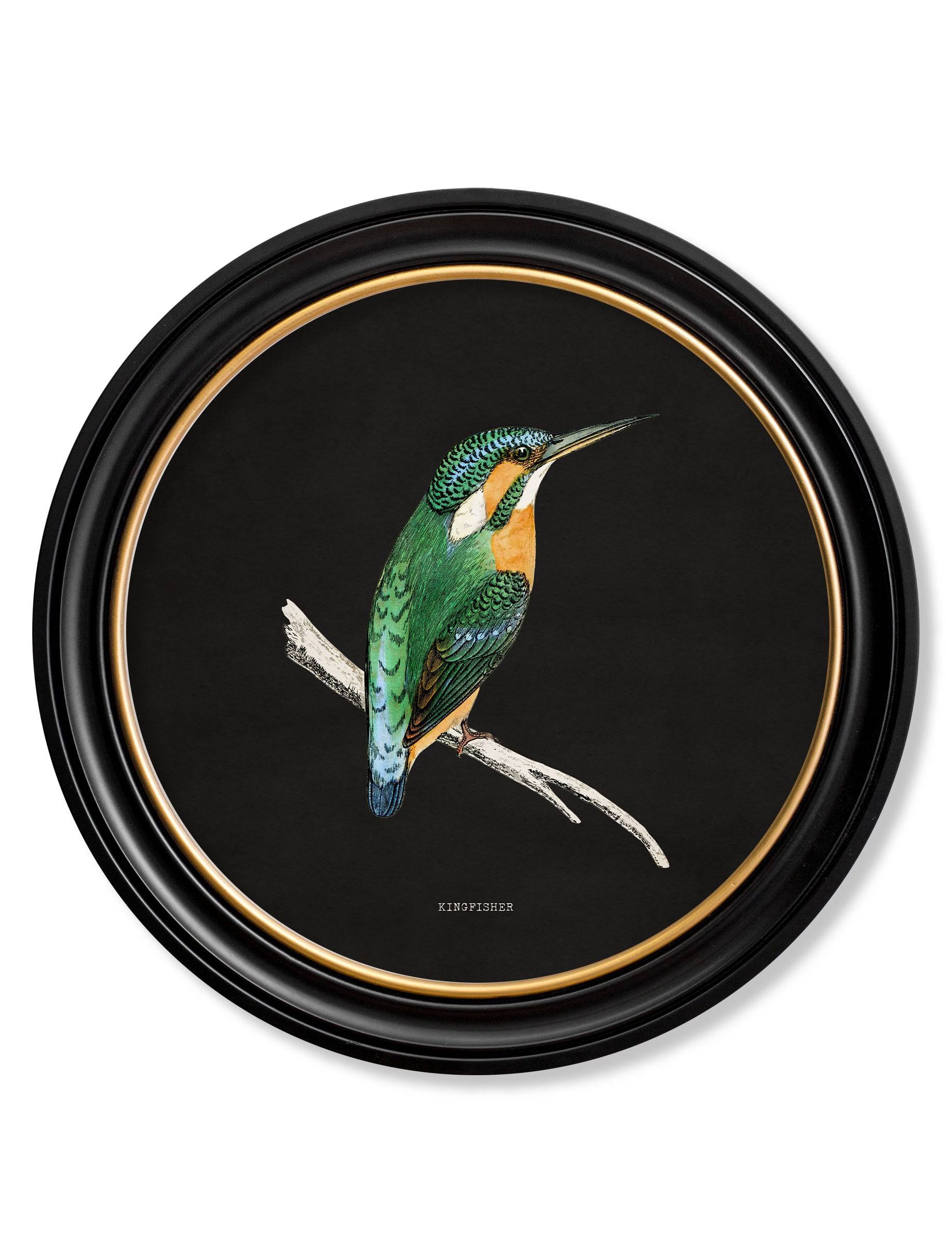 Buy online UK made round bird portraits Lancashire
