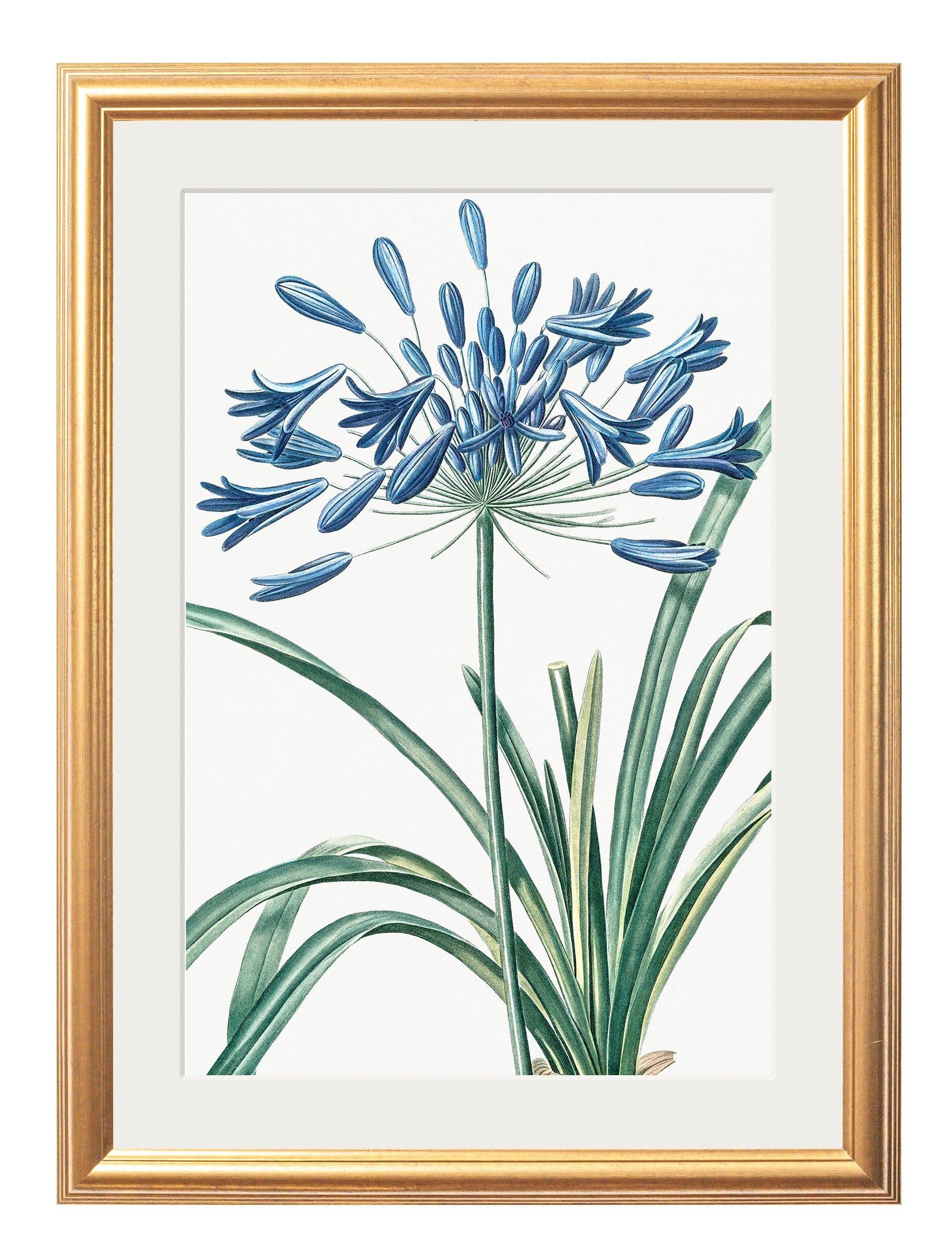 Buy sustainable gold slim framed botanical art Britain