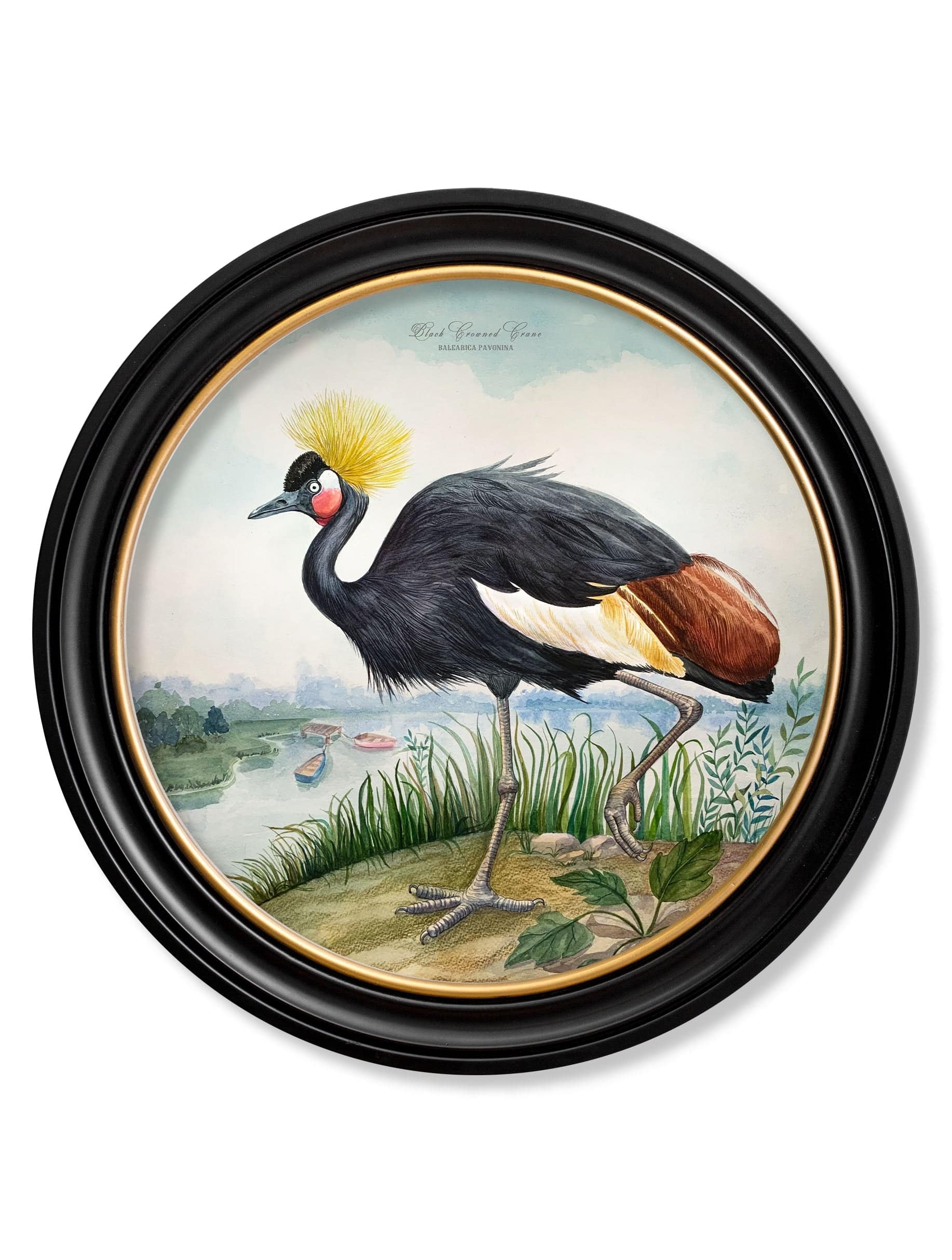 Buy sustainable wood round crane bird frames Britain