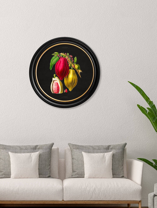 Buy vintage c.1843 Chocolate Plant round frame black art UK
