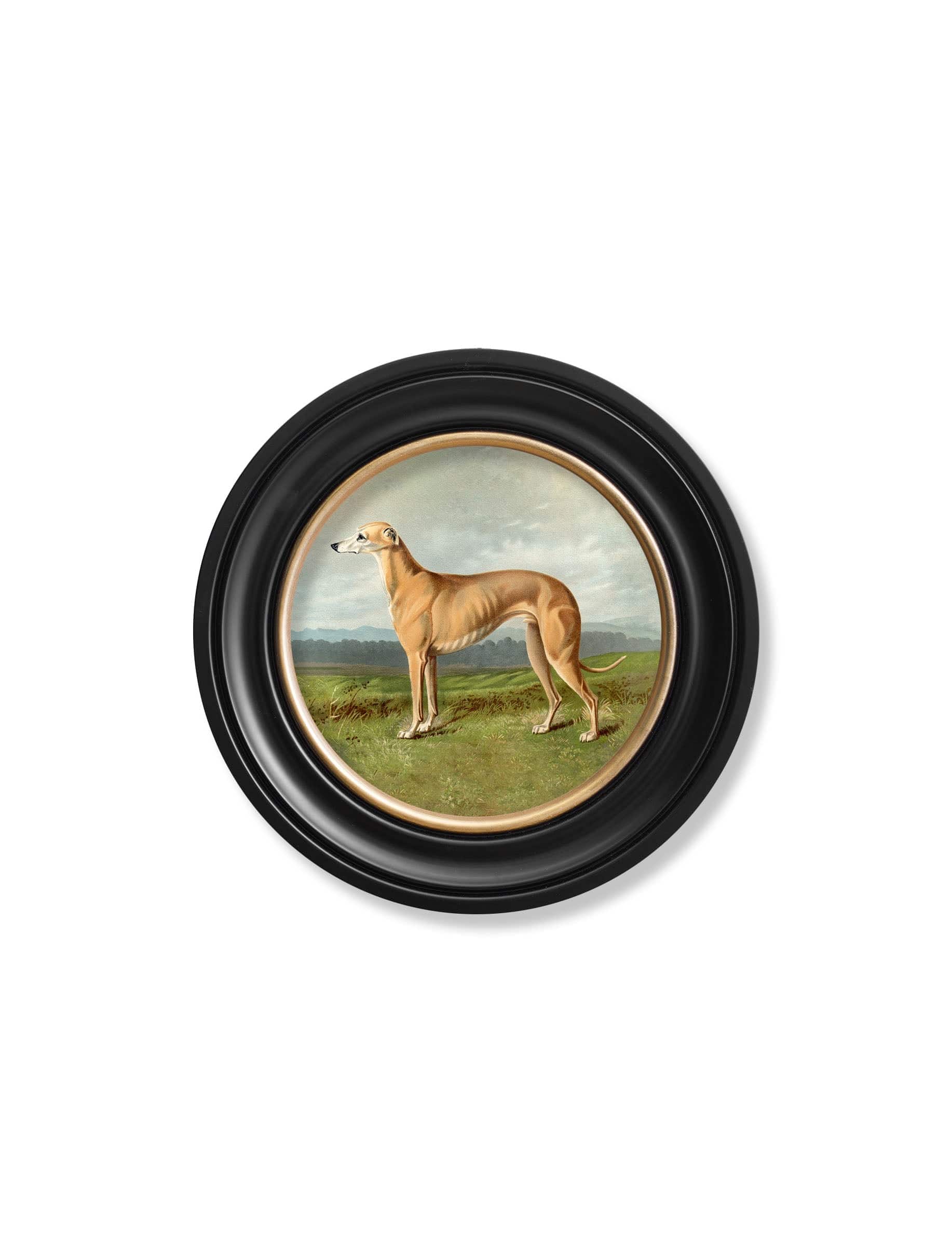 C.1881 Working Dogs Round Frame set of four for sale UK
