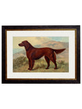 C.1881 Working Dogs collection of four framed prints for sale UK

